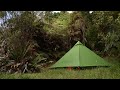 Hiking and Camping in the Kaimai Bush - Wairoa Shelter, Lindemann Loop Track