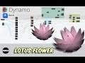 🪷💻Dynamo. Lotus Flower