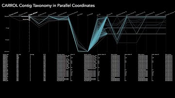 Paracords Data Visualization | Nature–Design Triennial