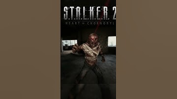 stalker 2 fight with controller