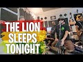 Brownbuds  the lion sleeps tonight  cover 