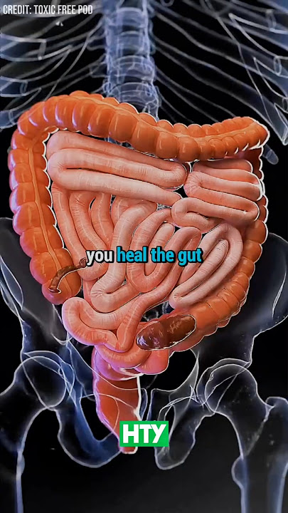 Fix Your Gut Overnight With Kiwi 🥝