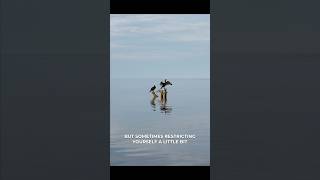 This is why I listen to Sam 👆