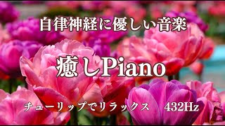 自律神経に優しい音楽！チューリップとピアノの音色でリラックスしましょう　睡眠導入　ストレスが消える　身体に優しい周波数432Hz　#癒しPiano