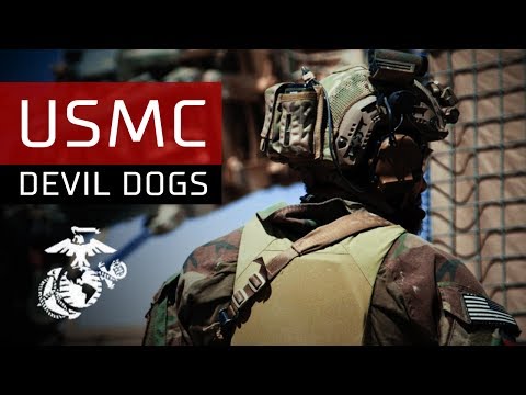 DEVIL DOGS USMC