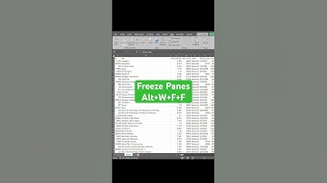 Freeze Panes in Excel #excel #excelpro #exceltips #exceltipsandtricks #exceltricks #theexcelwiz