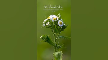 { قَالَتۡ يَٰٓأَيُّهَا ٱلۡمَلَؤُاْ إِنِّيٓ أُلۡقِيَ إِلَيَّ كِتَٰبٞ كَرِيمٌ }سورة النمل ٢٩ : ٣٣