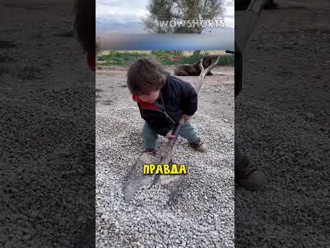 Он только что познал жизнь 😁