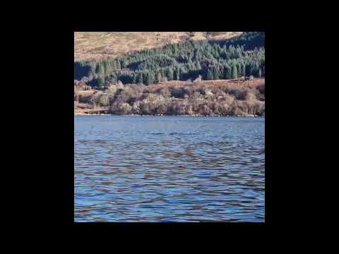 Scots salmon farmer captures stunning snaps of humpback whale in Loch Striven