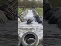 Muddy adventures await! #fun #viral #fok