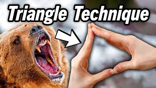 How the Triangle Technique Tricks Bears, And Saves You From An Attack