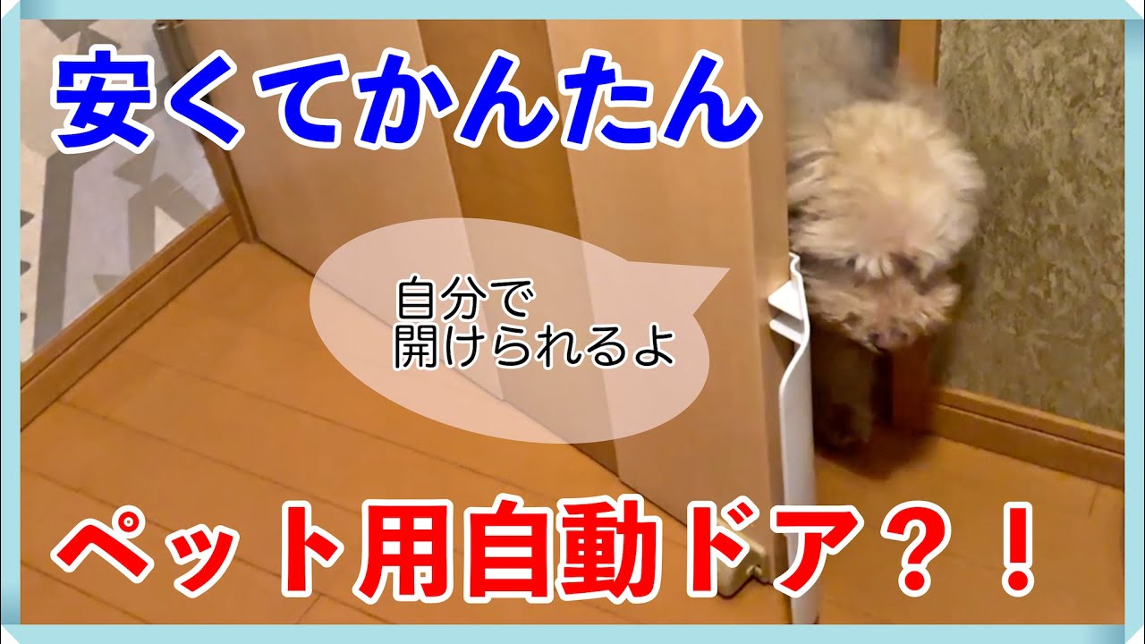 試してみる価値あり！ペット用の自動（？！）ドアを取り付け/かんたん！安い！