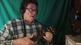 I Left Her On The Beach At Honolulu Ukulele Cover