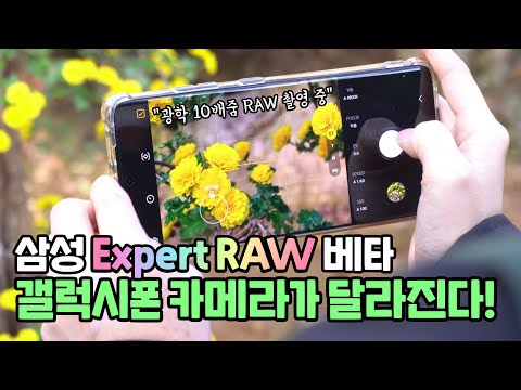 갤럭시폰 카메라의 진화, 삼성 Expert <strong>RAW</strong> 앱 베타! 보정 안하고 써도 좋음 <strong>ft</strong>. 애플 ProRAW 간단 비교