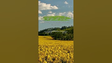 سورة نوح. الآية ١٣ - ١٥ القارئ ياسر الدوسري #القرآن🤍 #ياسر_الدوسري