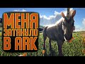 ARK Survival Evolved: Очень редкий единорог, первая постройка, друг жабовски