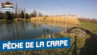 Pêche De La Carpe - Journée Maudite ! - Départs 