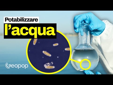 Video: Come Preparare l'Acqua Aromatizzata (con Immagini)