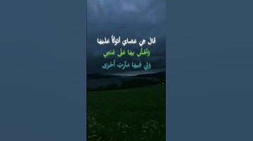سورة طه الآية [١٧ - ٢٤] القارئ: #محمد_ايوب #قرآن #طه
