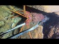 Diving under the sea to catch eels, crabs and sea cucumbers | Part 47