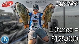 1 Ounce = $125,000 | Lake Erie - FLW Super Tournament