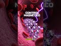 SUIZA lo logra: Bacterias "Cyborg" que buscan y destruyen tumores 🇨🇭🦠 #enigmaglobal  #curiosidades