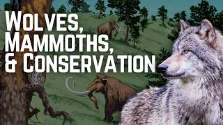 Keystone Species: How Wolves Saved Yellowstone & Why Mammoths Still Matter