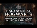 🎃 Halloween at Hogwarts | Harry Potter Music &amp; Ambience LIVE with ASMR Weekly