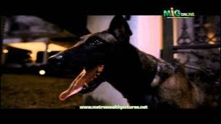 Trailer Alamak Toyol