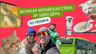 видео: Пекин. Как мы не спали двое суток и всё равно залезли на Великую Китайскую стену (Бадалин) картинка: Пекин. Как мы не спали двое суток и всё равно залезли на Великую Китайскую стену (Бадалин)