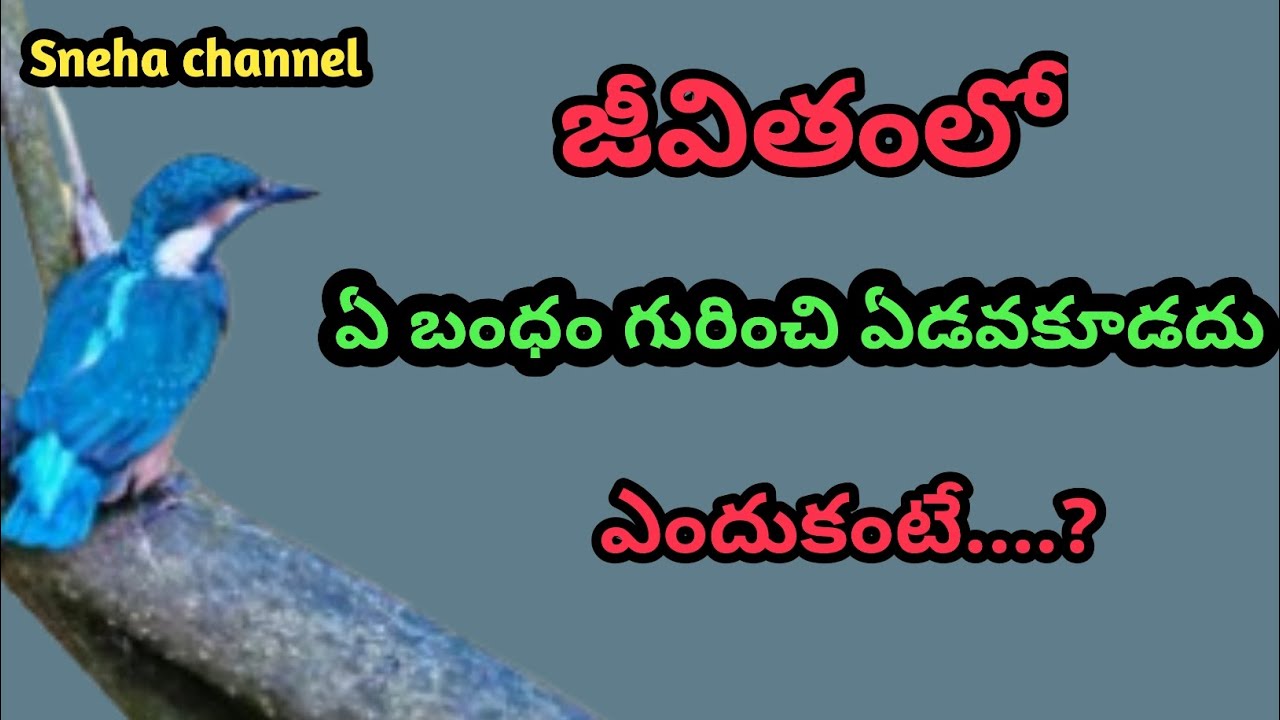 wonderful quotes#908#jivithasathyalu |Million dalar quotes |‌|Sneha channel