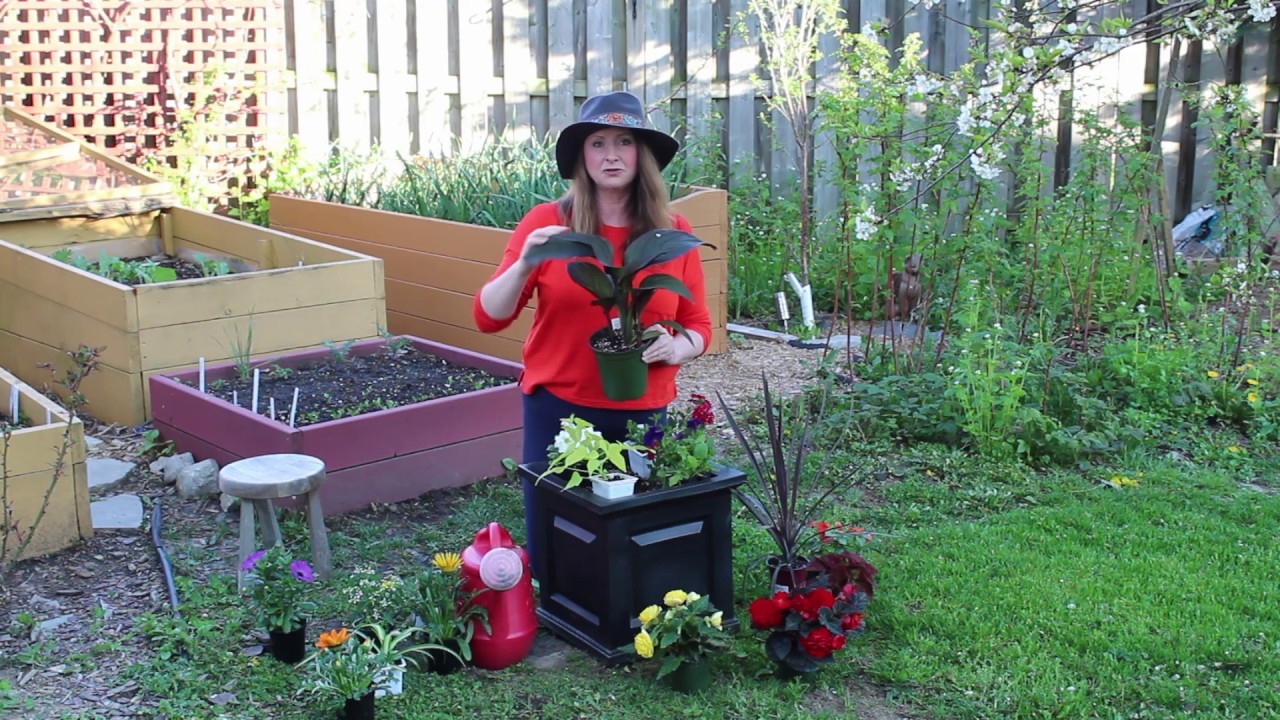 How to fill an outdoor planter with flowers YouTube