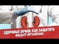 Здоровые почки: как защитить фильтр организма – Шоу Картаева и Махарадзе