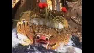 BARONG BALI & LEAK BALI.