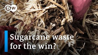 Can sugarcane waste empower farmers in Ghana?  | DW Global Ideas
