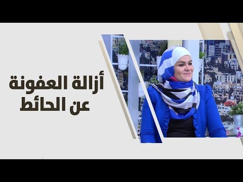 سميرة الكيلاني - أزالة العفونة عن الحائط - اقتصاد منزلي