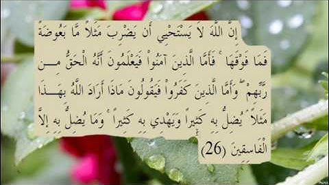 القران الكريم سورة البقرة الاية 26