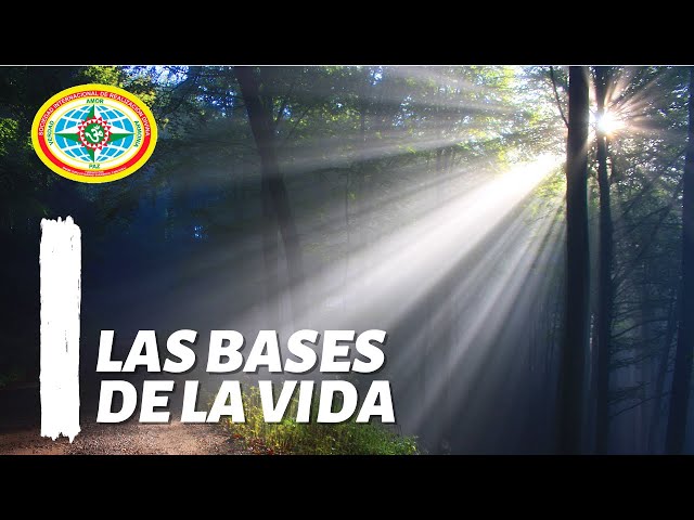 LAS BASES DE LA VIDA