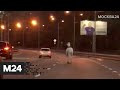 Лошадь устроила аварию и сбежала с места ДТП - Москва 24