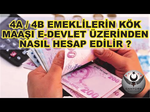 Video: Birikmiş Kâr Nasıl Hesaplanır: 10 Adımda (Resimlerle)