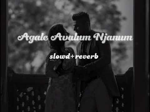 Agale Avalum Njanumslowedreverb  trendingvideo  romantic   slowed  viral  music  viralvideo