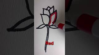 Guess the colour.????💕❤️
