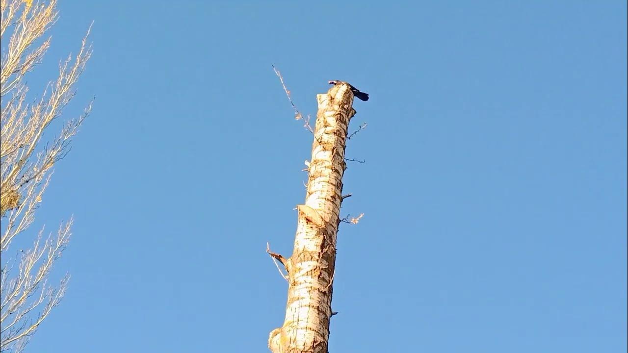 Улица дзержинского 268 славянск на кубани. Славянск 1. Кофейни славянск на кубани. Банки в славянске на кубани. Славянск марш бэндэры 2022.