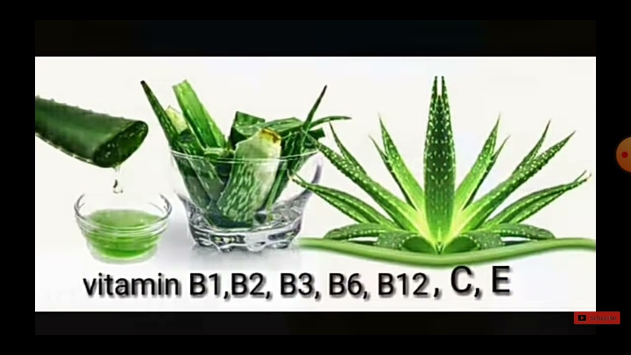 vestige aloe vera benefits by sarojini YouTube