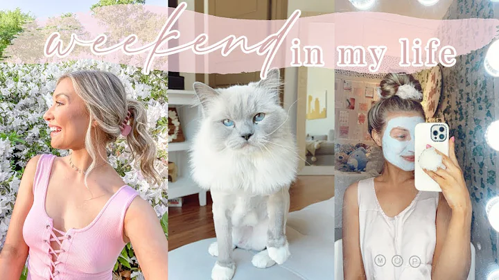 Weekend In My Life! | Cat Sitting, Girls Night, Ch...
