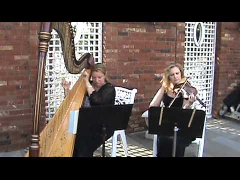 Violin and Harp Duo