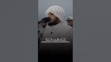 خشوع وسكينة وراحة نفسية في تلاوة آيات بينات من #سورة_النمل بصوت القارئ الشيخ #هيثم_الدخين