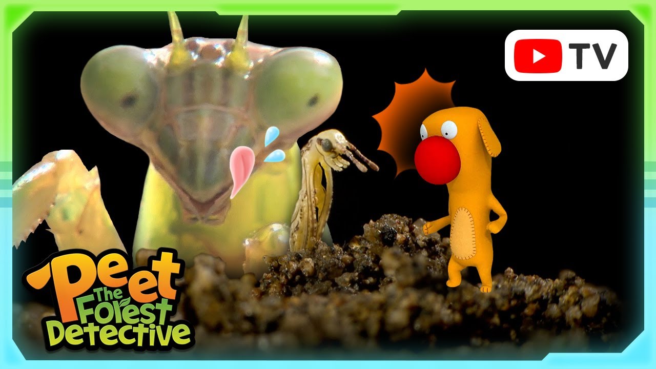 Incredible Insects: Tiny Wonders of the Natural World | Peet The Forest Detective