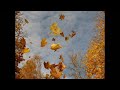Антонио Вивальди— Концерт № 3 фа мажор „Осень“. Часть вторая— Адажио Мольто (Ubriachi dormienti)