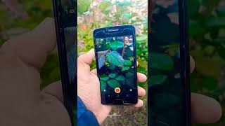 wow motorola  phone best 🤳 camera 📷  for photos#ytshort #foryou #motorola#hassand1 #shorts